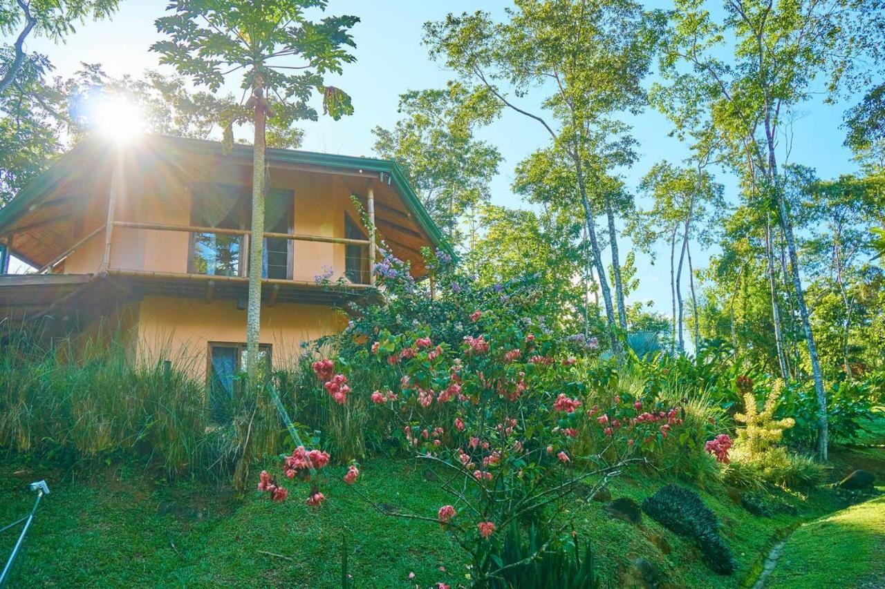 Manoas Bed and Breakfast Uvita Εξωτερικό φωτογραφία