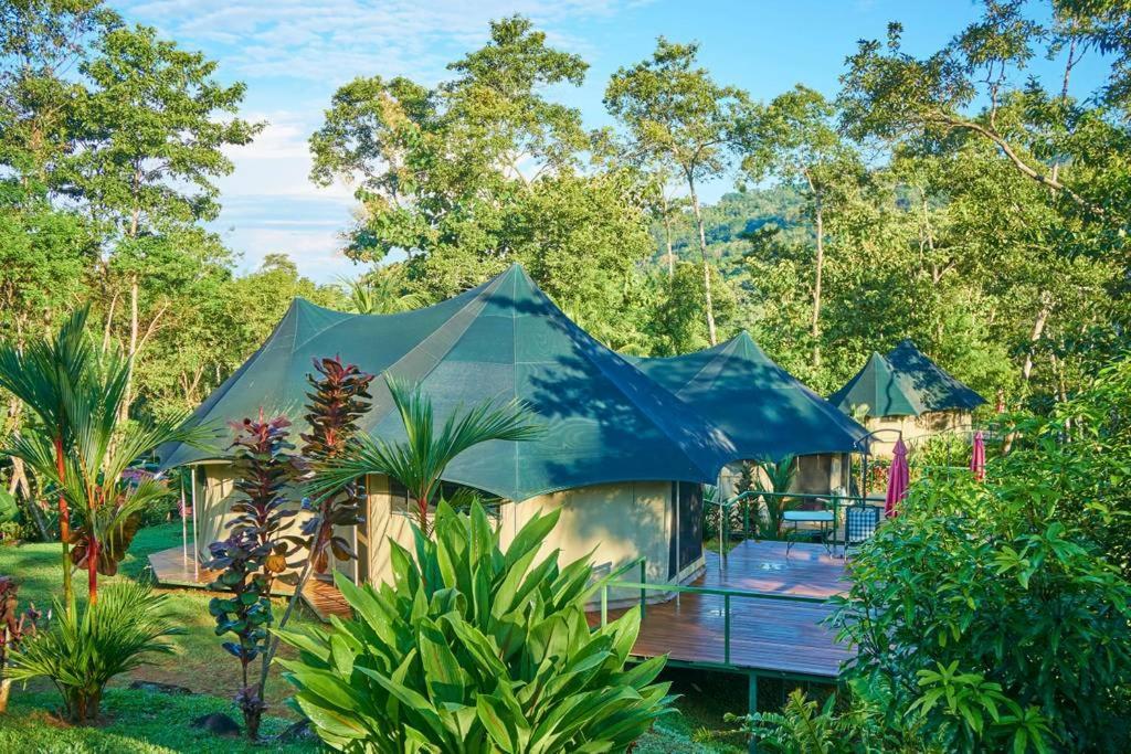Manoas Bed and Breakfast Uvita Εξωτερικό φωτογραφία