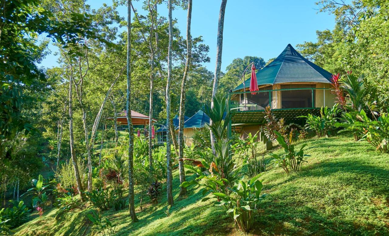 Manoas Bed and Breakfast Uvita Εξωτερικό φωτογραφία