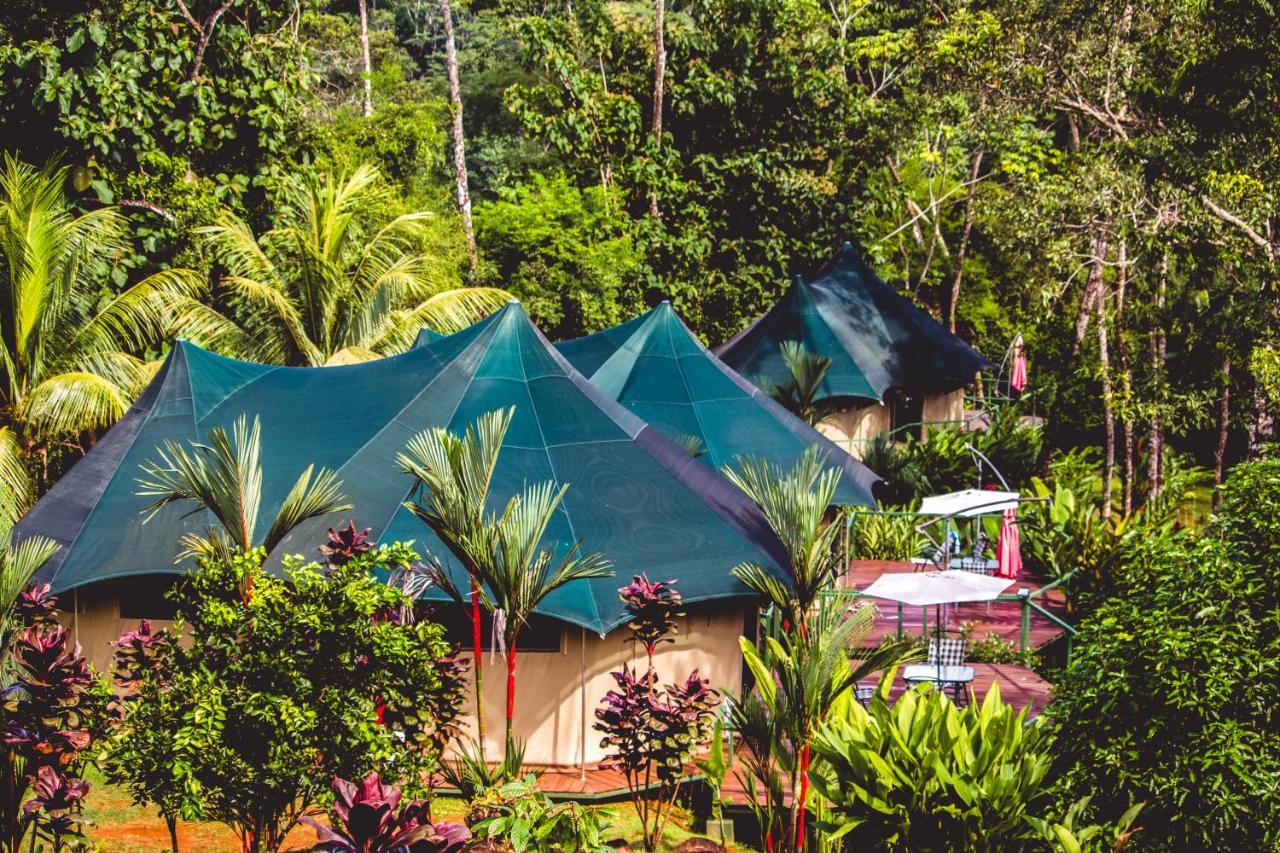 Manoas Bed and Breakfast Uvita Εξωτερικό φωτογραφία
